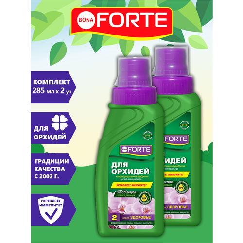  Bona Forte     285 . x 2 . 549