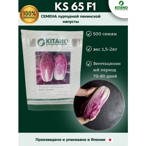 KS 65 F1-  , , 500 , Kitano seeds/  (), ,    2109 