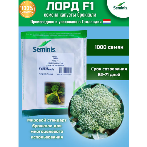  F1 -   , 1 000 , SEMINIS/ (), ,    2120 