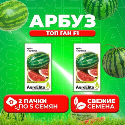    F1, 5, AgroElita (2 ), ,    440 
