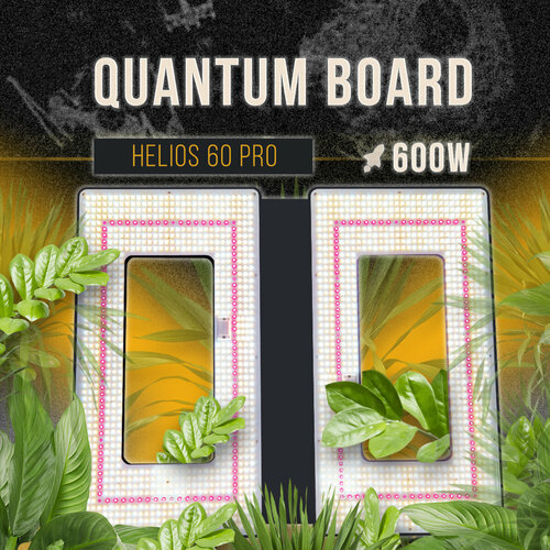 Quantum Board 600 ,   led 281b 39000