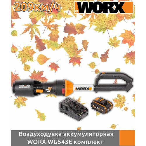    Worx WG543E, 20,  4  +  2 18490