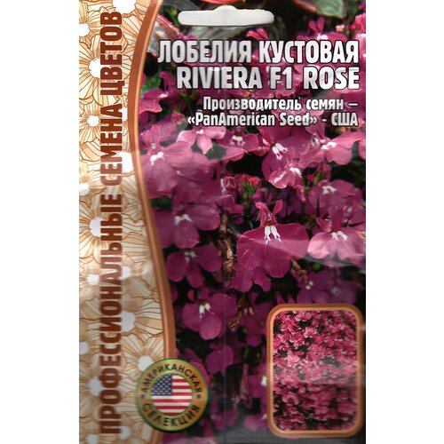   Riviera F1 Rose,   ( 1 : 5  ), ,    265 