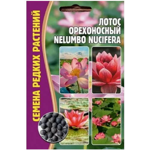   Nelumbo nucifera ( 1 : 2  ), ,    370 