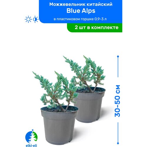   Blue Alps ( ) 30-50     0,9-3 , ,   ,   2 , ,    4100 
