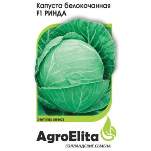   AgroElita    F1 10 ., 10 ., ,    1131 
