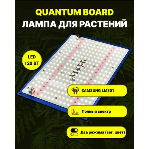  /   / quantum board/  / 120 / Mean Well/  Samsung LM-301. 5000, UV, IR 10300