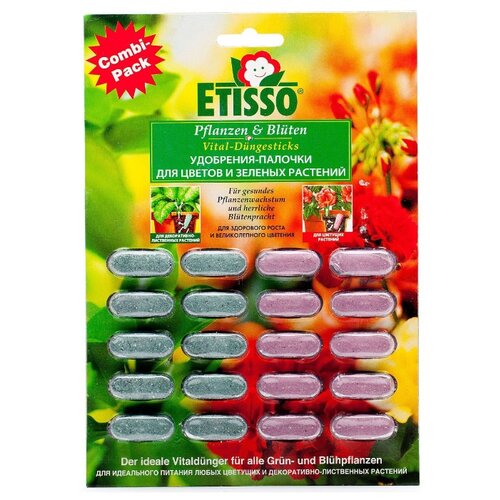 ETISSO ()           , 20  () 299