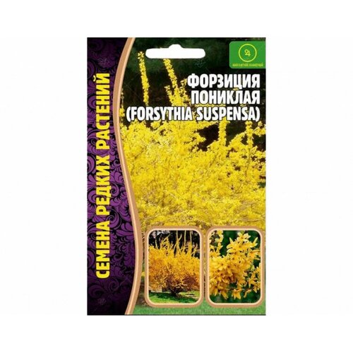    (forsythia suspensa) (20 ), ,    210 