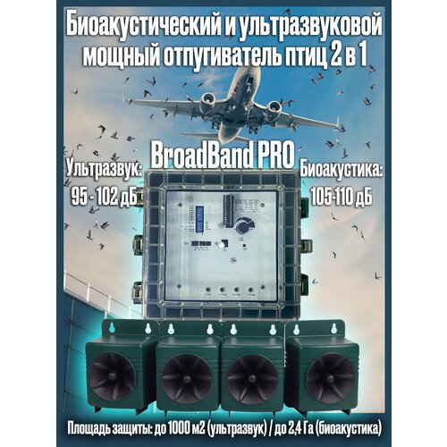   ()     2  1 BroadBand PRO 155000