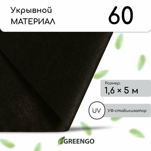  , 5 ? 1.6 ,  60 /?,   -, , Greengo,  20% 521