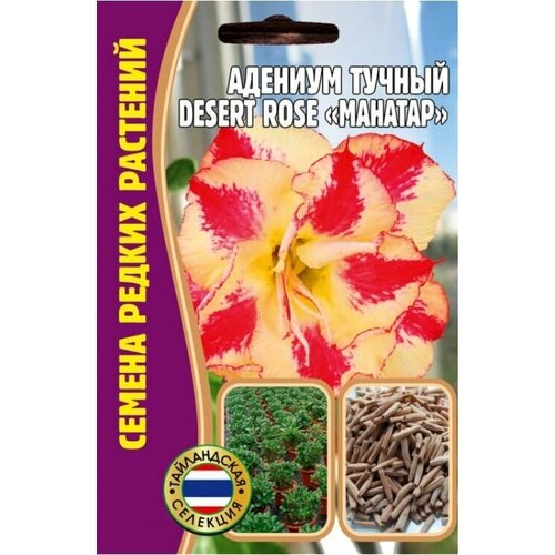   Desert rose MAHATAP (1  * 3 )  , ,    520 