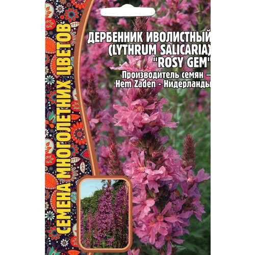   / Lythrum salicaria ROSY GEM,  ( 1 : 0,05  ), ,    229 