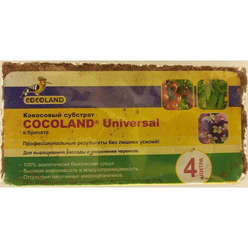     ( ) COCOLAND Universal 4  277