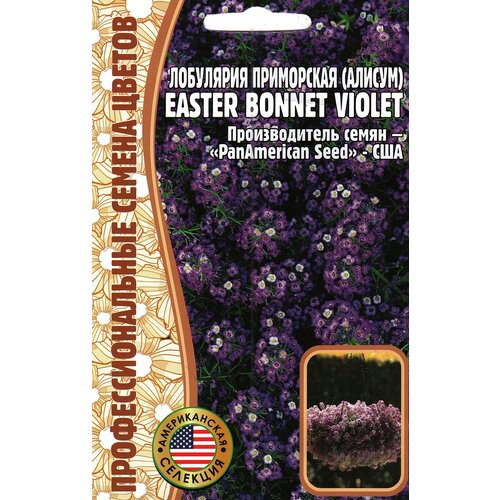   () Easter bonnet violet ( 1 : 20  ), ,    229 