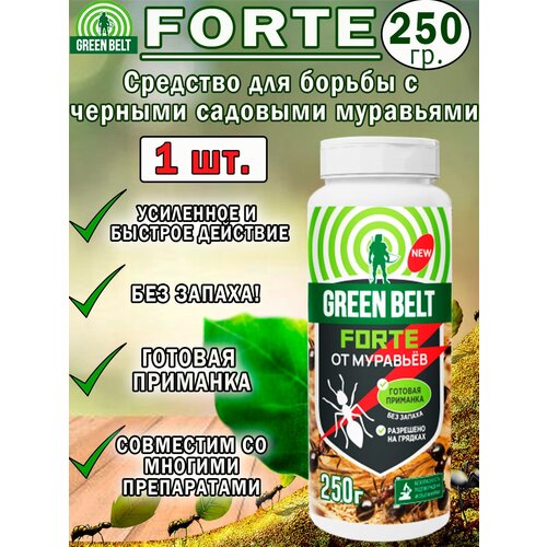      Forte 250, 1  570