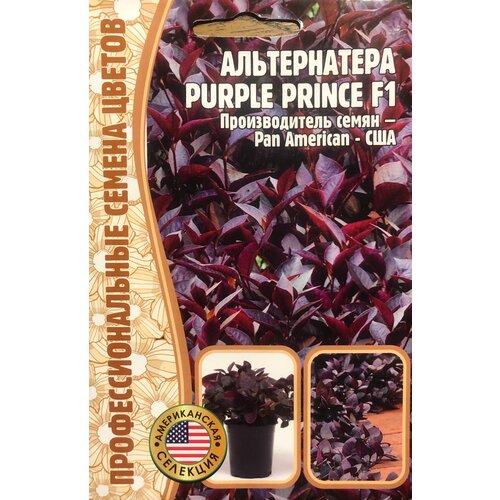   Purple Prince F1 (3 .), ,    270 