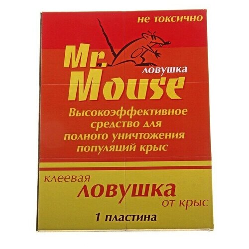   MR. MOUSE      /50 516
