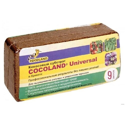   Cocoland Universal // 9 . 428