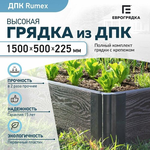    Rumex 1.5x0.5 , (: 22530 , : ) 5200