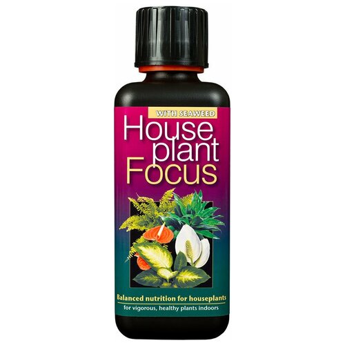     Houseplant Focus  300 1200