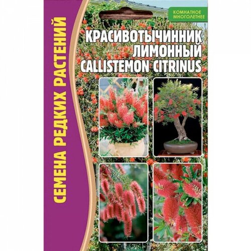    (Callistemon citrinus) (0,1 ), ,    210 