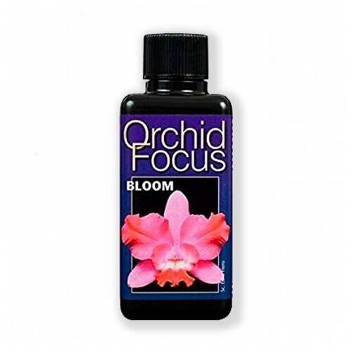    Orchid Focus Bloom  100 750
