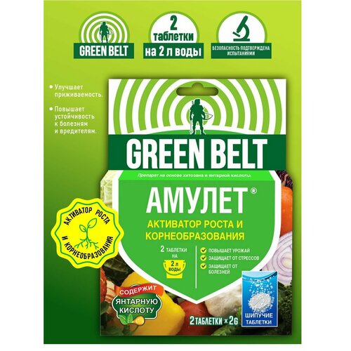  Green Belt  2 . 2 . 299