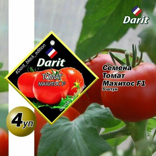  Darit   F1 5 4 , ,    666 