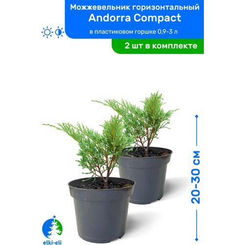   Andorra Compact ( ) 20-30     0,9-3 , ,   ,   2 , ,    2390 