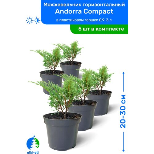   Andorra Compact ( ) 20-30     0,9-3 , ,   ,   5 , ,    5475 