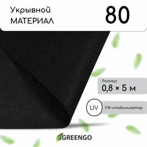  , 5 ? 0,8 ,  80 /?,  -, , Greengo,  20% 479