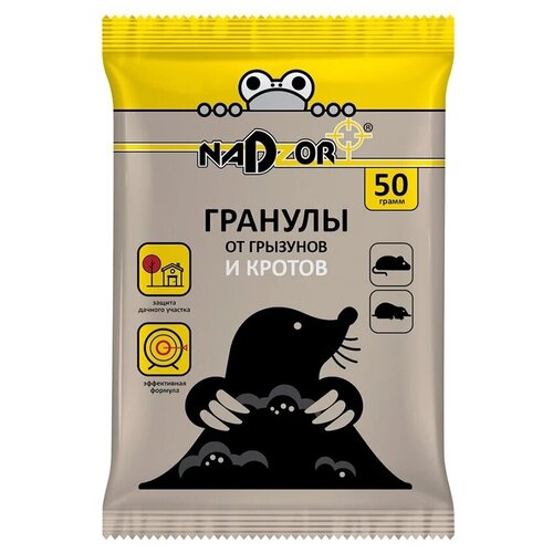 �������� �� ������ � �������� � �������� Nadzor, ����, ������ ������ �� 58 ���