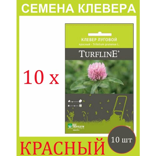        Trifolium Protense L TURFLINE DLF 500  (50 . - 10 ), ,    2682 