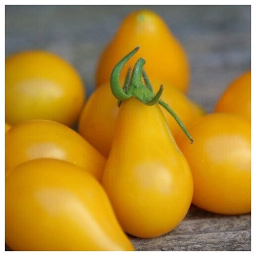    (. Tomato Yellow Pear)  10, ,    310 