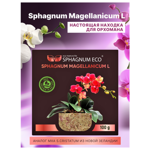  sphagnum magellanicum L      8 . 1990
