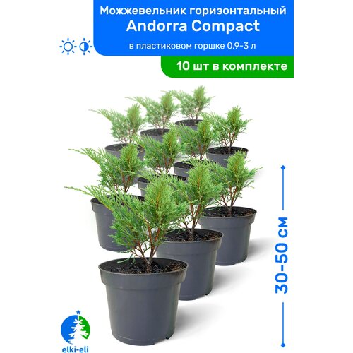   Andorra Compact ( ) 30-50     0,9-3 , ,   , 10 , ,    17500 