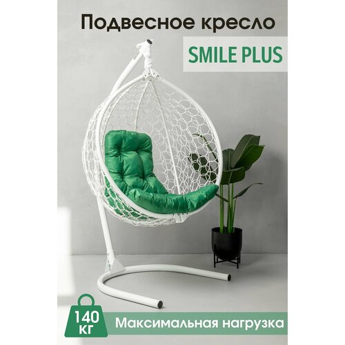      Smile Plus   12590