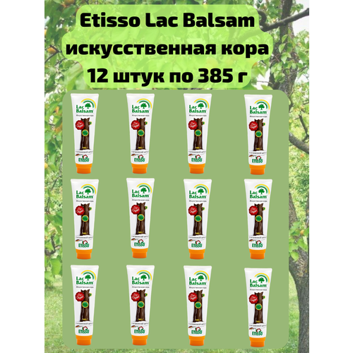  12 .         ,   , 385 Etisso / Lac Balsam 16388